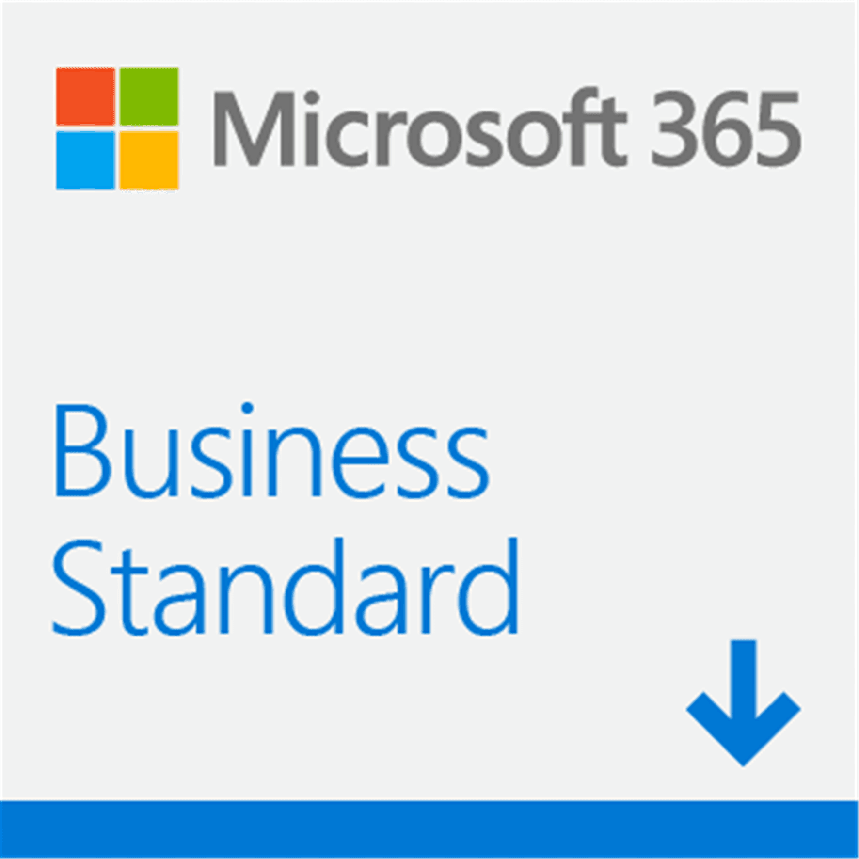 imagem-microsoft-business-standard